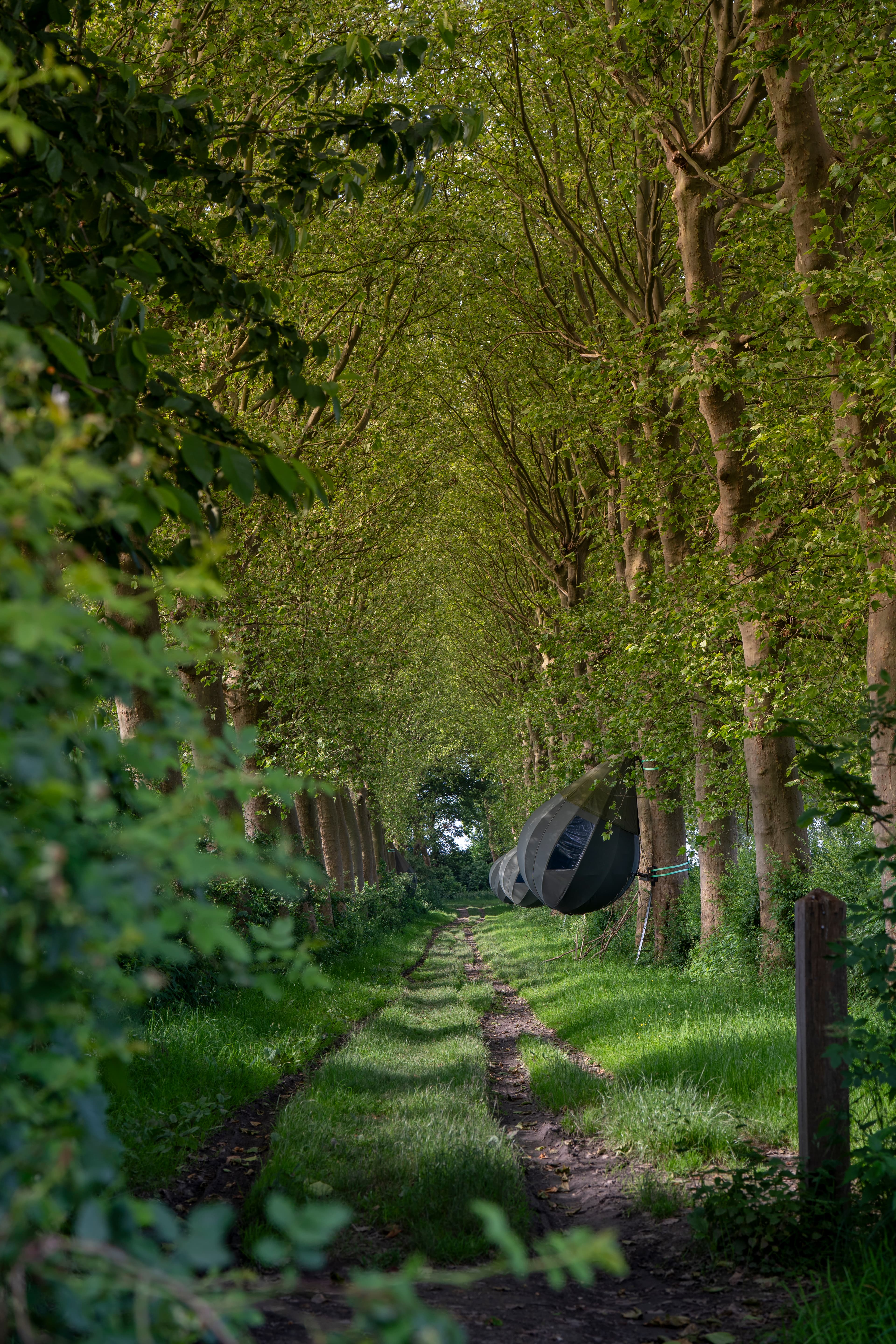 Overnachten in het landschapspark 0